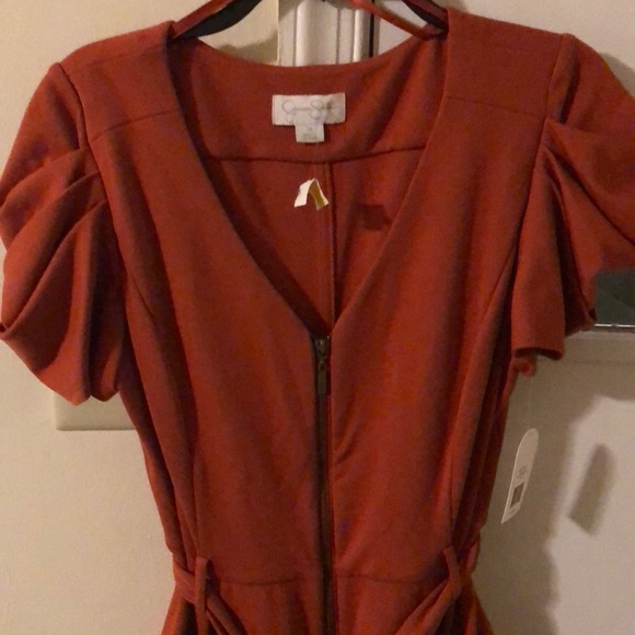 Jessica Simpson dress rust orange never worn - Picture 3 of 7